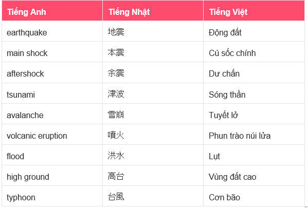 CTY TNHH TƯ VẤN DU HỌC NHẬT BẢN VẦNG SÁNG