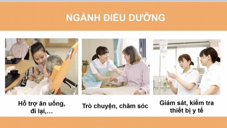 CTY TNHH TƯ VẤN DU HỌC NHẬT BẢN VẦNG SÁNG